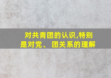 对共青团的认识,特别是对党、 团关系的理解